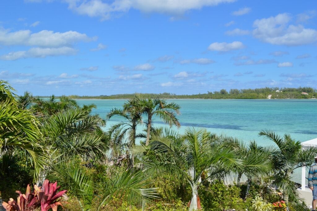 I worked and had this view for about one week! Picture of palm trees and the beach